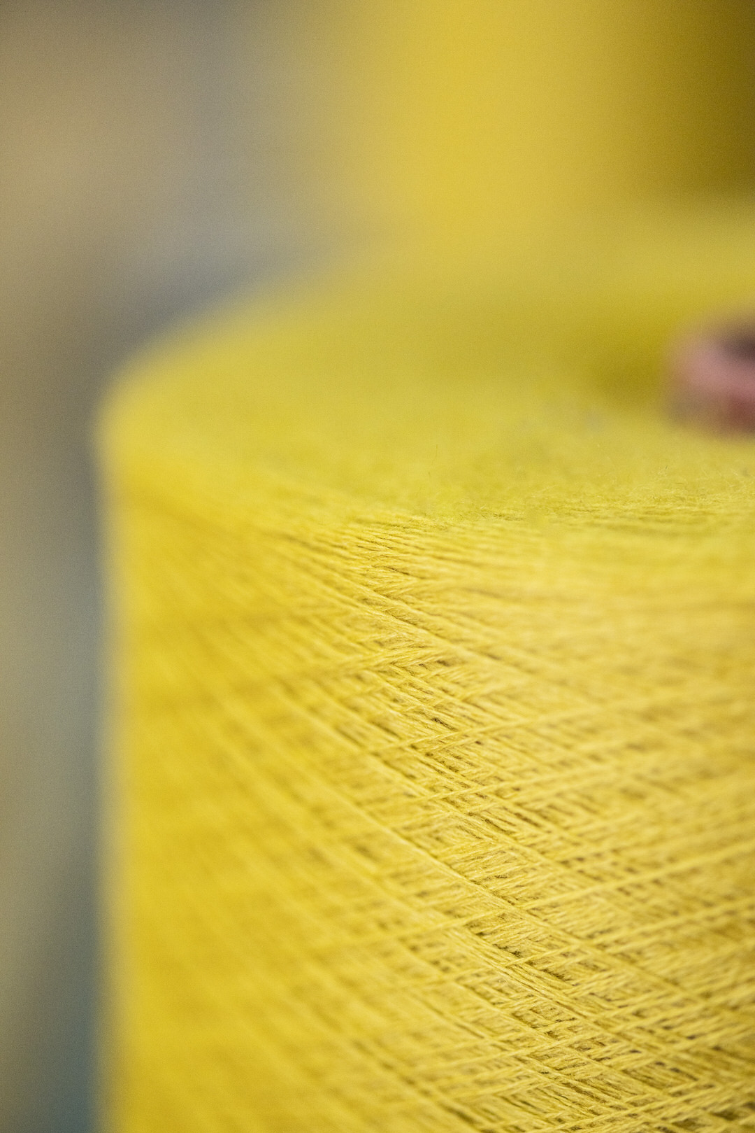 Close-up organic wool